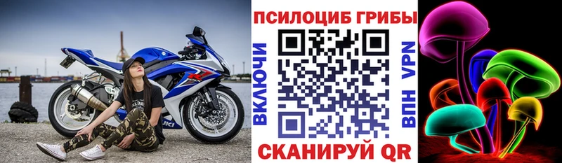 Псилоцибиновые грибы прущие грибы  мега ссылка  Мамоново 